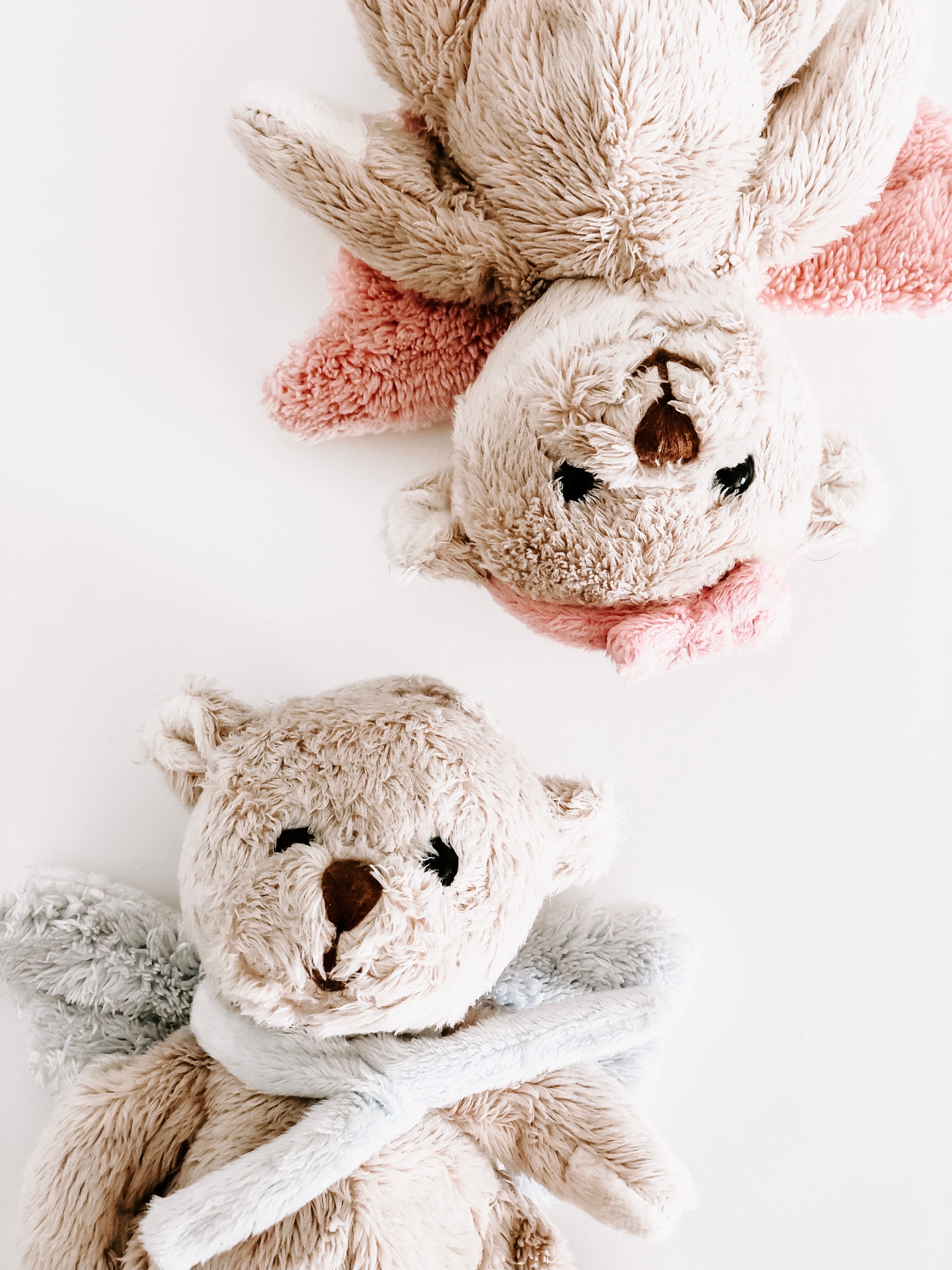 Colorful stuffed plush animals