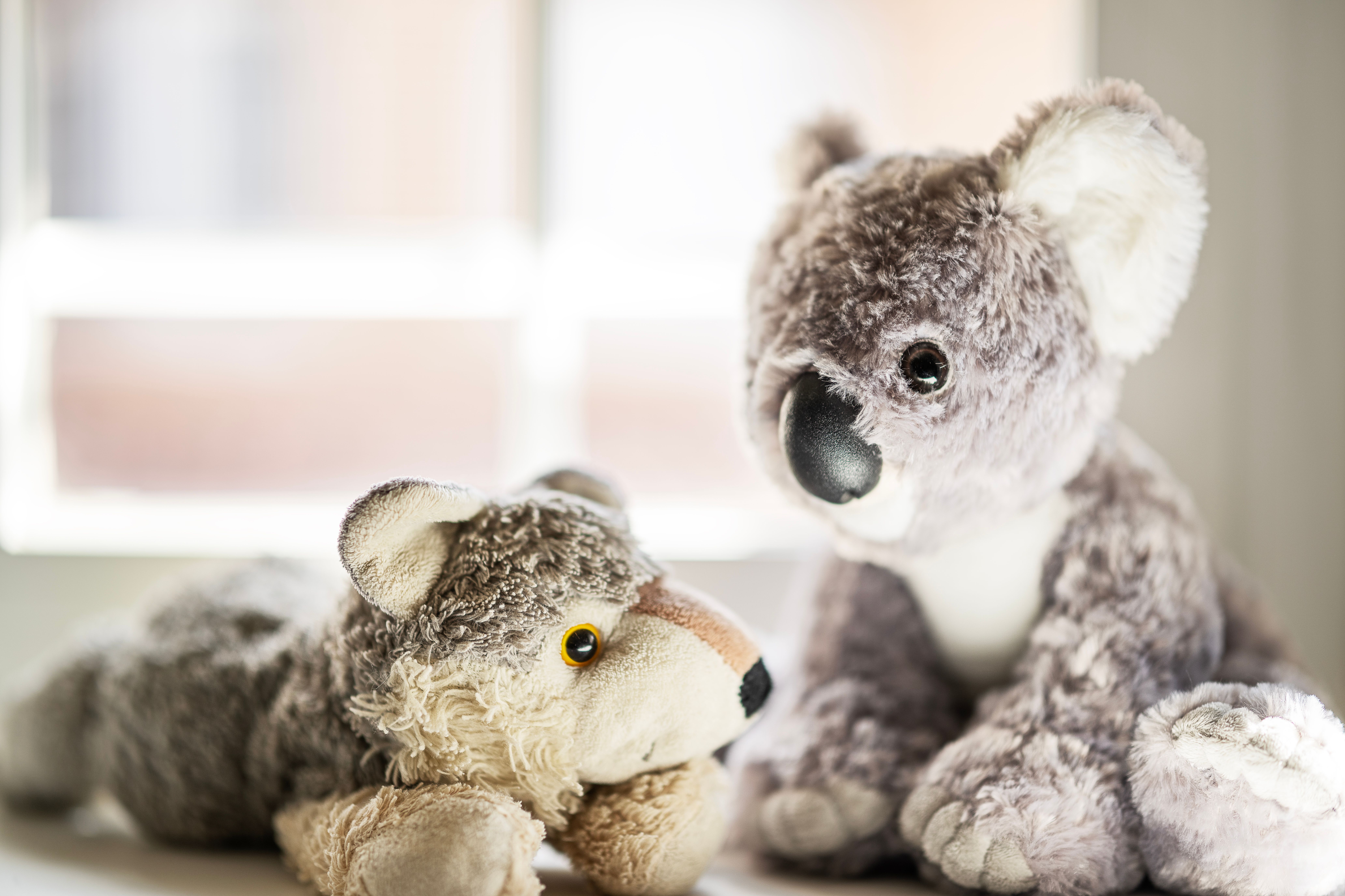 Cute plush teddy bear